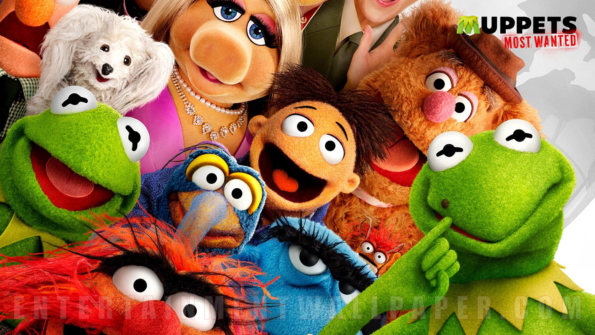 Muppets Most Wanted Wallpaper - Muppets 2 - HD Wallpaper 