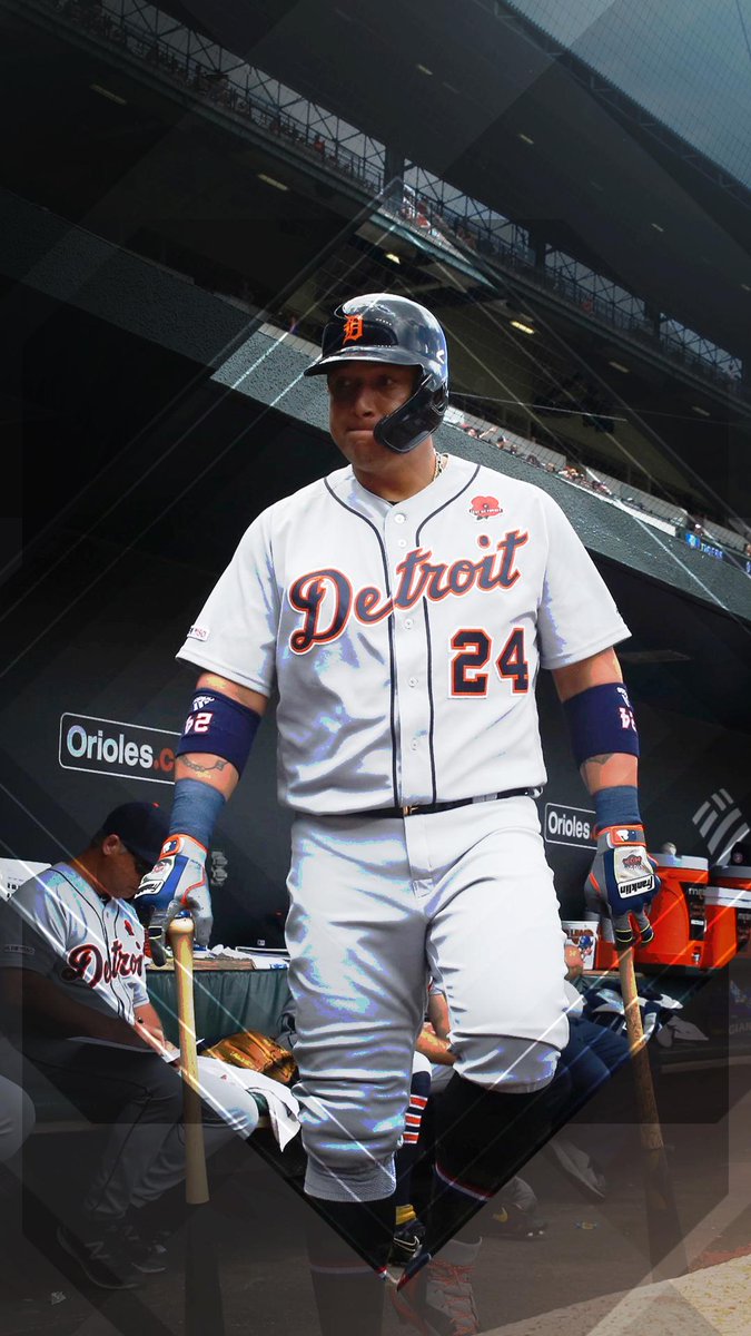 Tigers - HD Wallpaper 