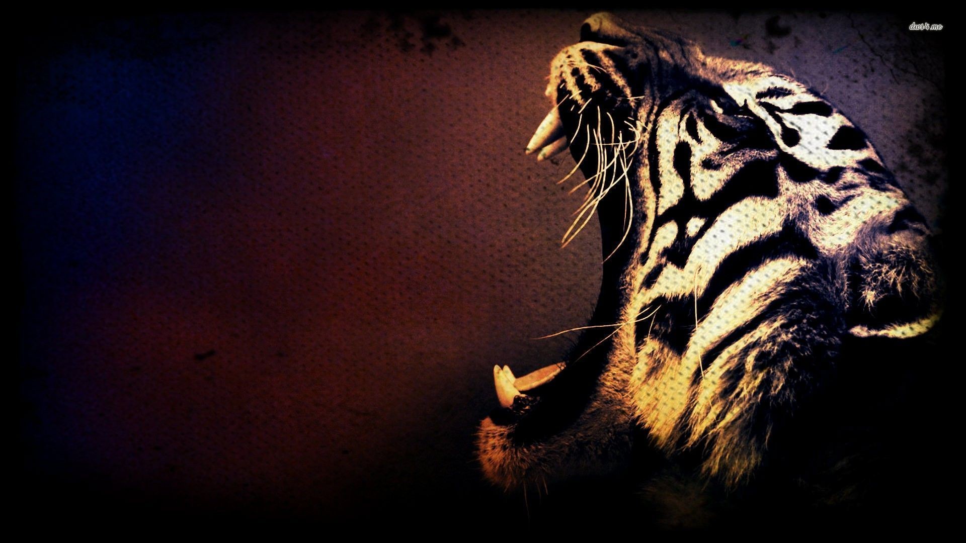 Data-src /w/full/5/4/b/318055 - Tiger Pc Wallpaper Hd - HD Wallpaper 