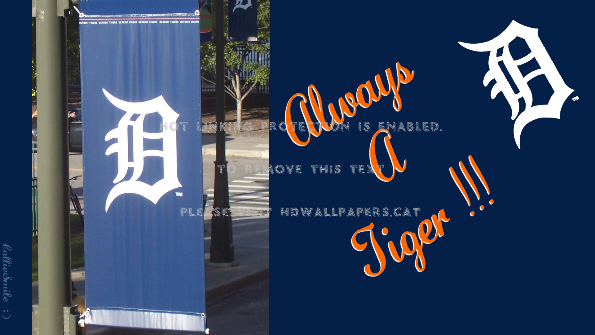 Detroit Tigers-2013 Mlb Central Division - HD Wallpaper 