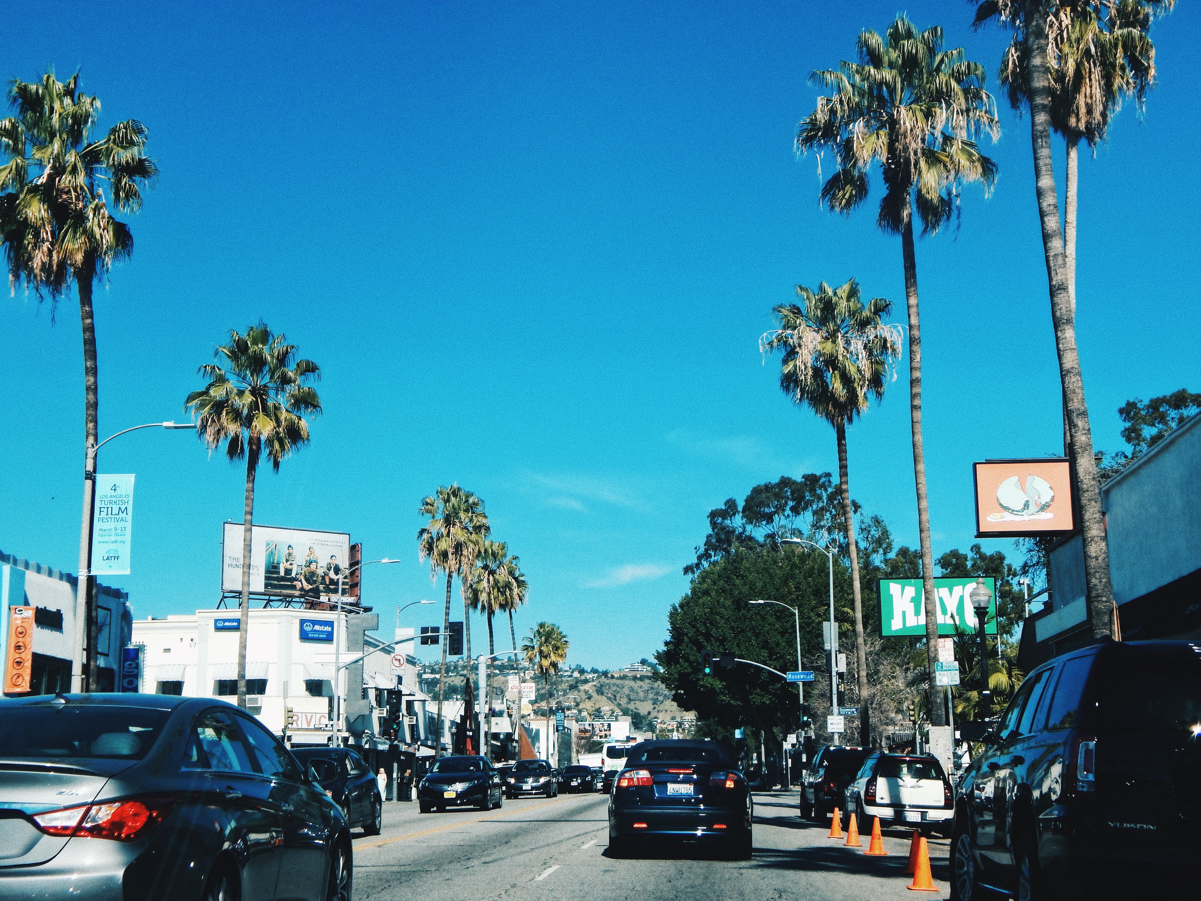 Los Angeles Palm - HD Wallpaper 