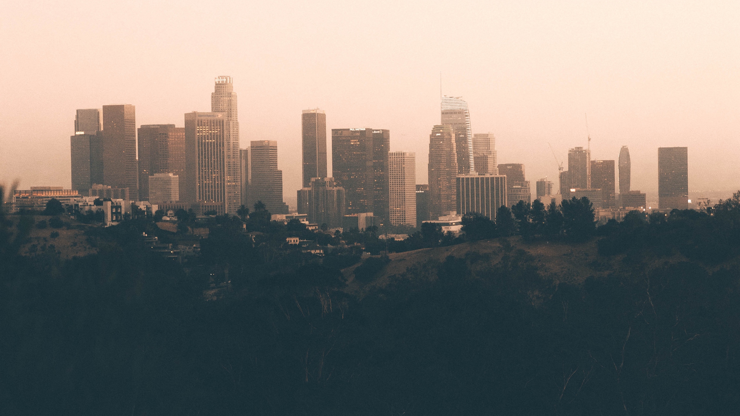 Wallpaper City, Fog, Panorama, Evening, Los Angeles, - Elysian Park - HD Wallpaper 