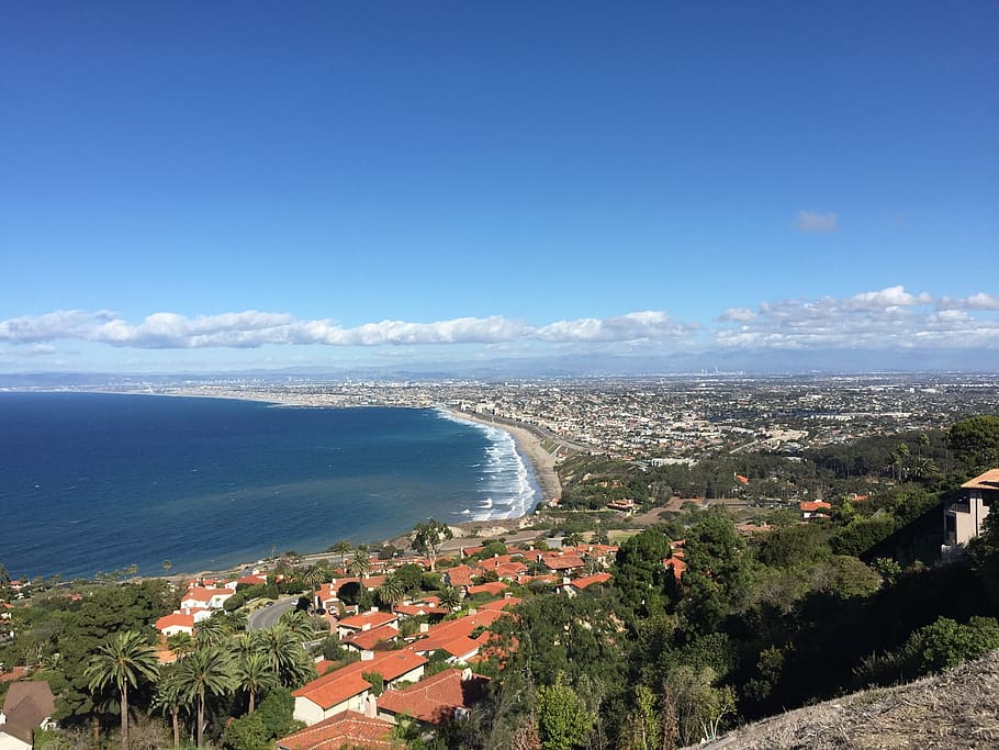 Los Angeles, View, Ocean, Trees, California, Skyline, - Los Angeles Ocean View - HD Wallpaper 