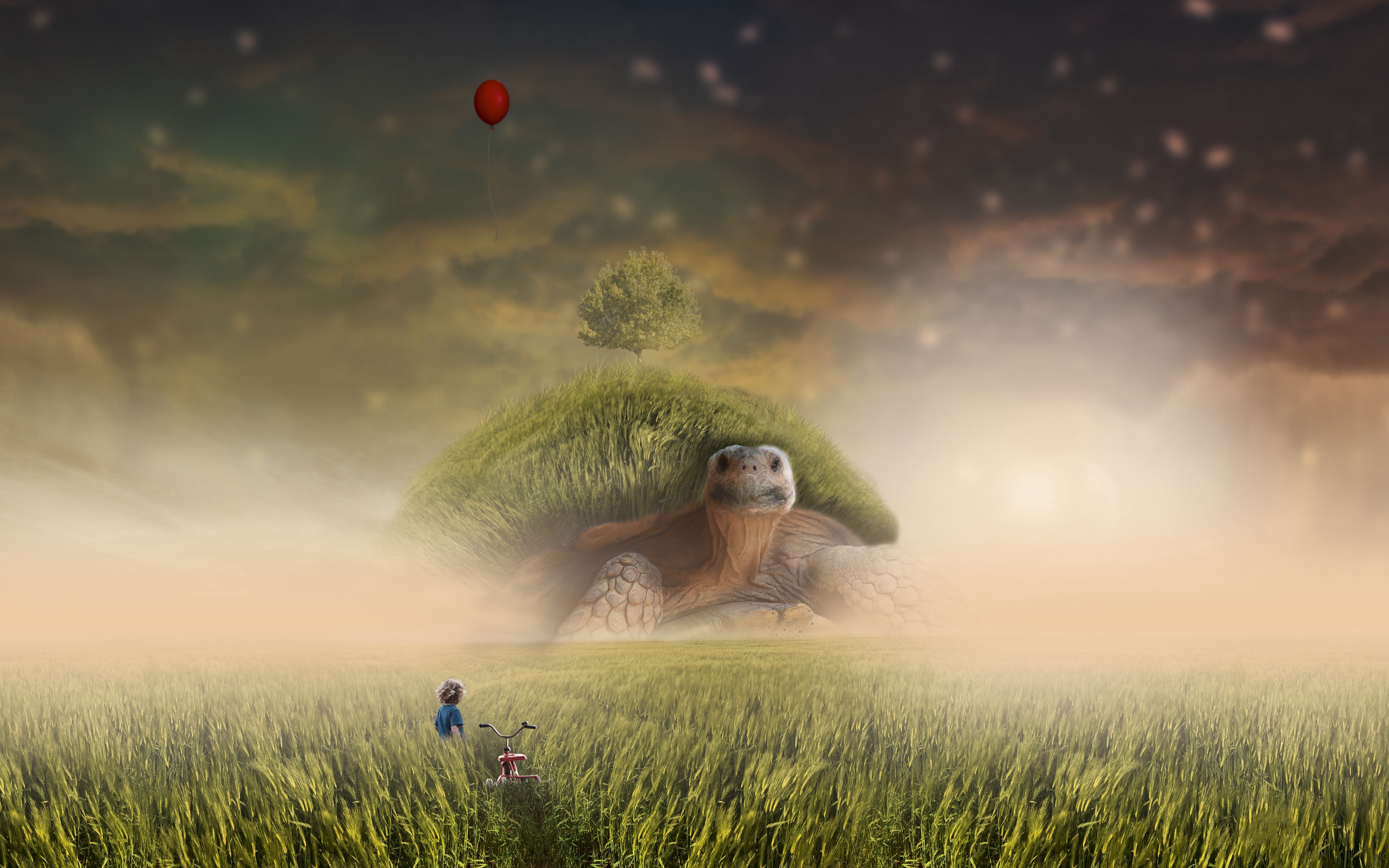 Wallpaper Turtle, Photoshop, Child, Bicycle, Field, - Background 4k For Photoshop - HD Wallpaper 