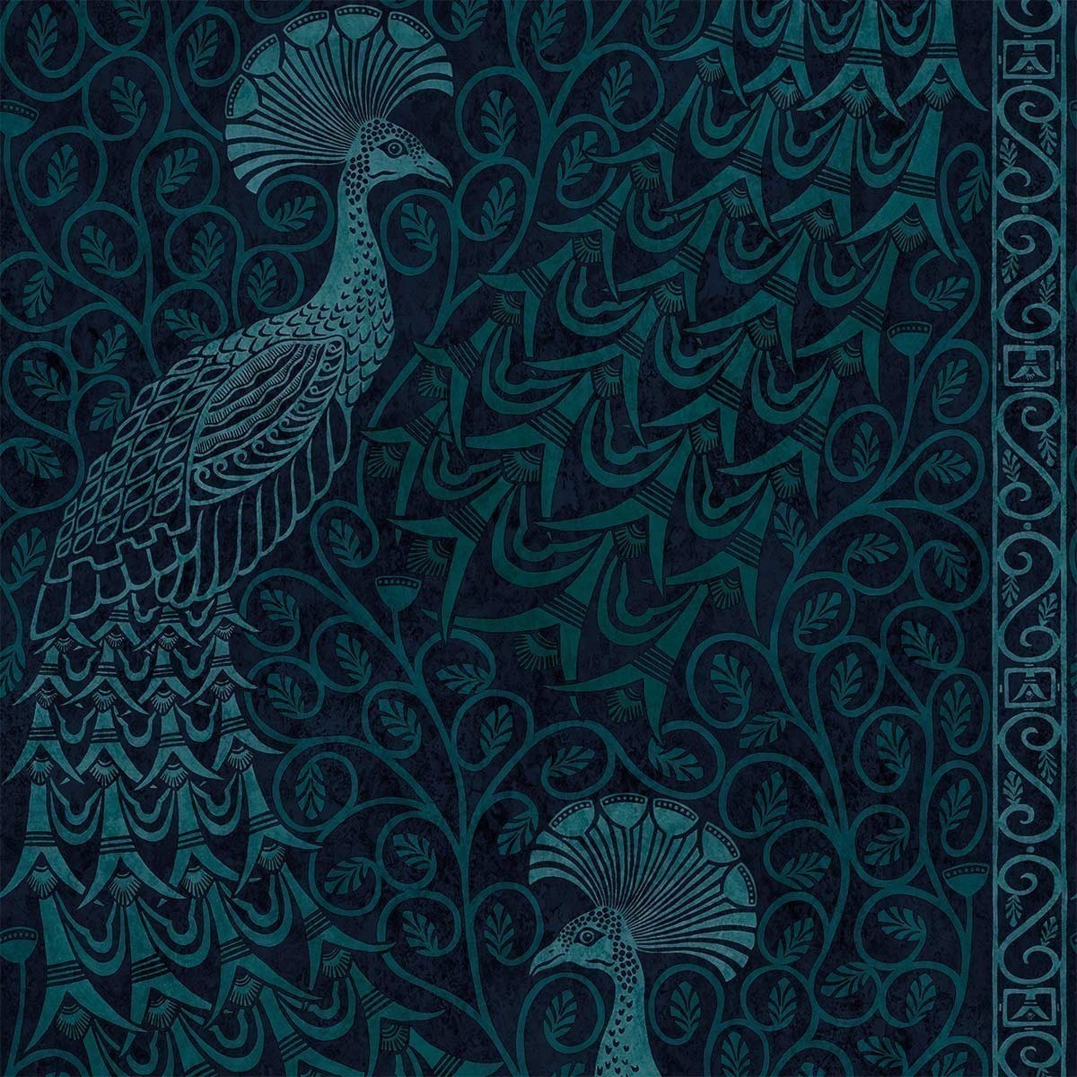 Pavo Parade Wallpaper Cole And Son Petrol 116/8028 - Cole And Son Pavo Parade - HD Wallpaper 