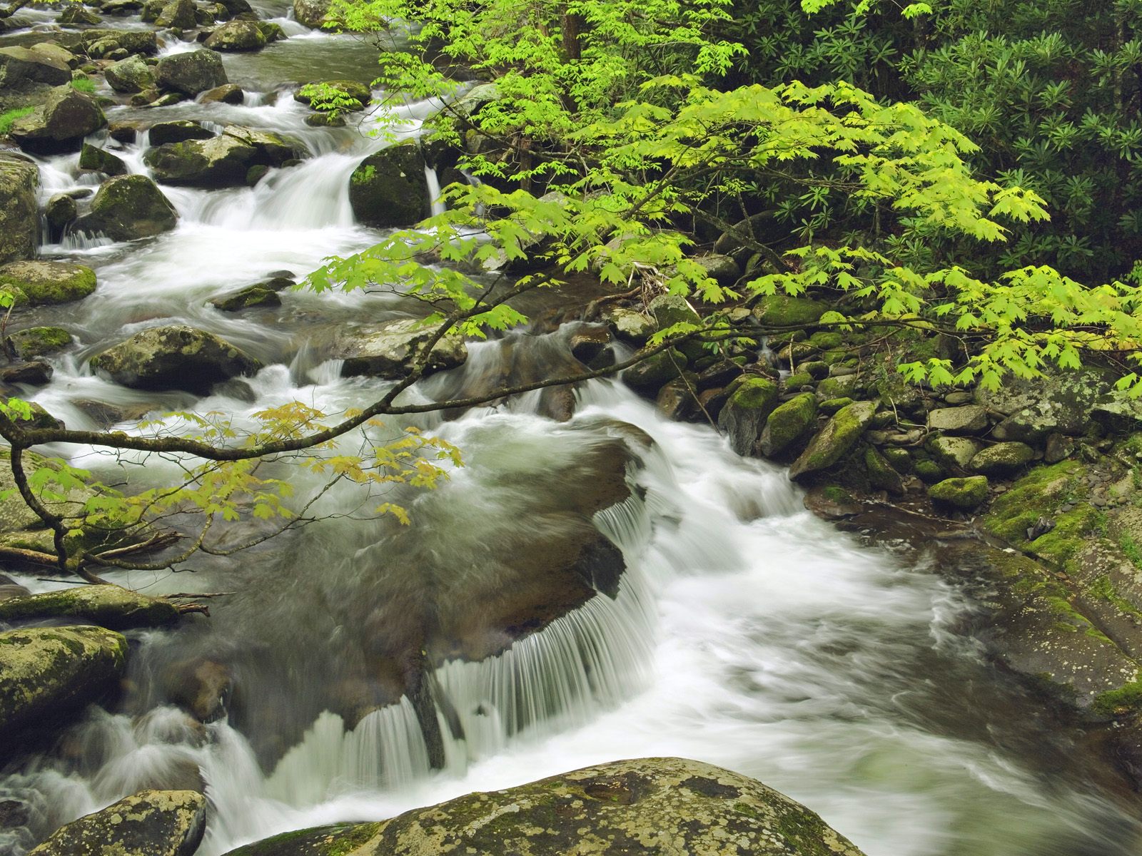Mountain Smoky Mountains Streams - HD Wallpaper 