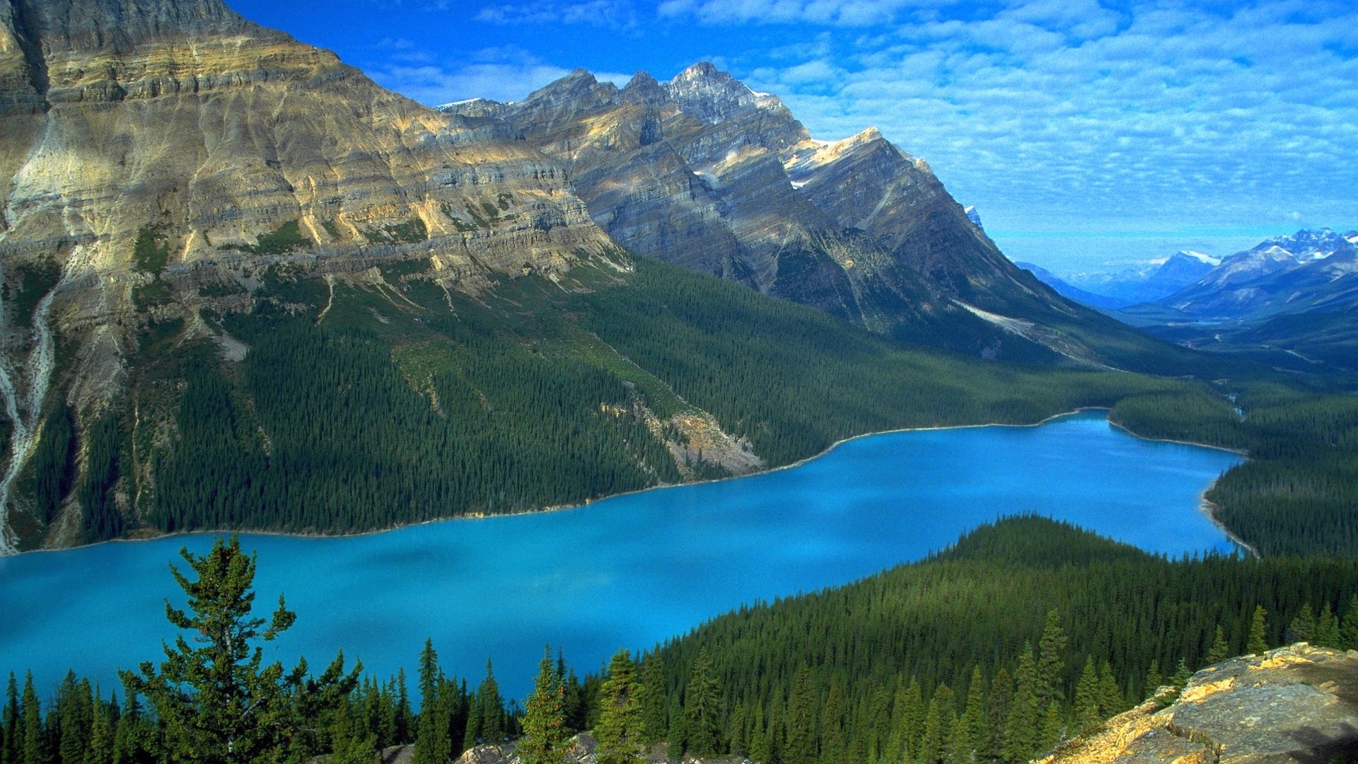 Peyto Lake - HD Wallpaper 
