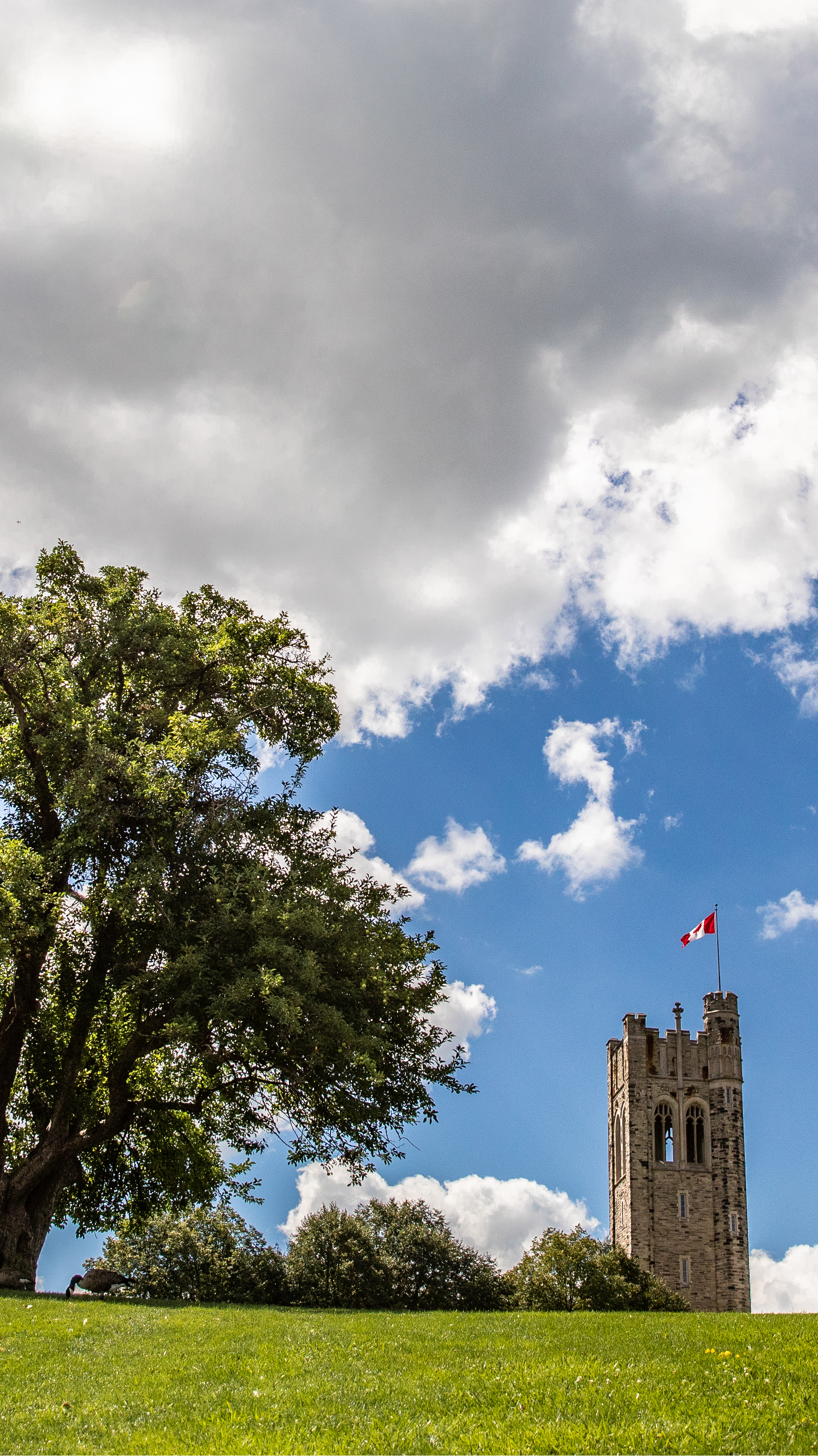 Castle - HD Wallpaper 