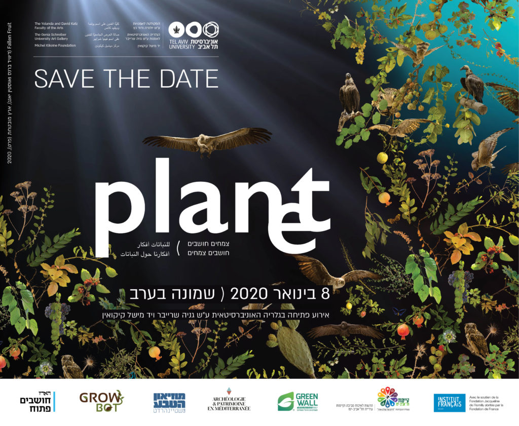 צמחים חושבים חושבים צמחים - HD Wallpaper 