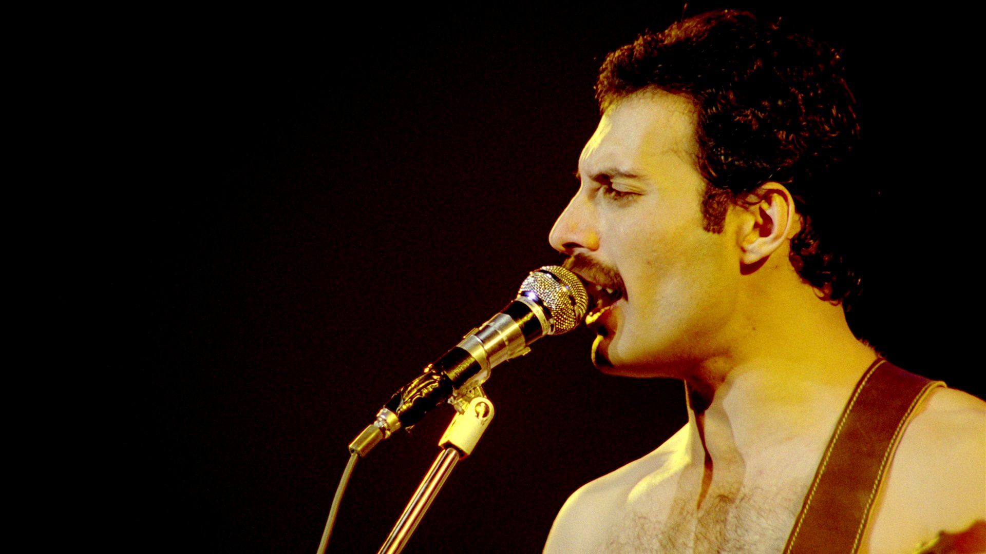 Queen Classic Rock Microphone Concert Concerts - Fondo De Pantalla Freddie Mercury Hd - HD Wallpaper 