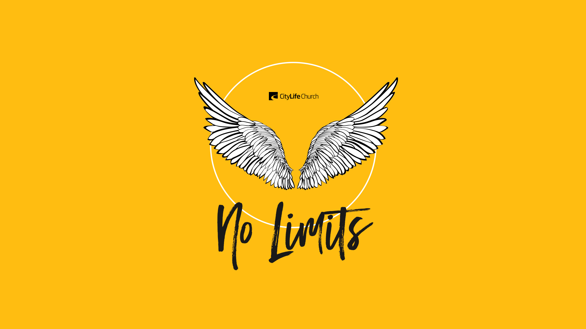 Bird Of Prey - HD Wallpaper 