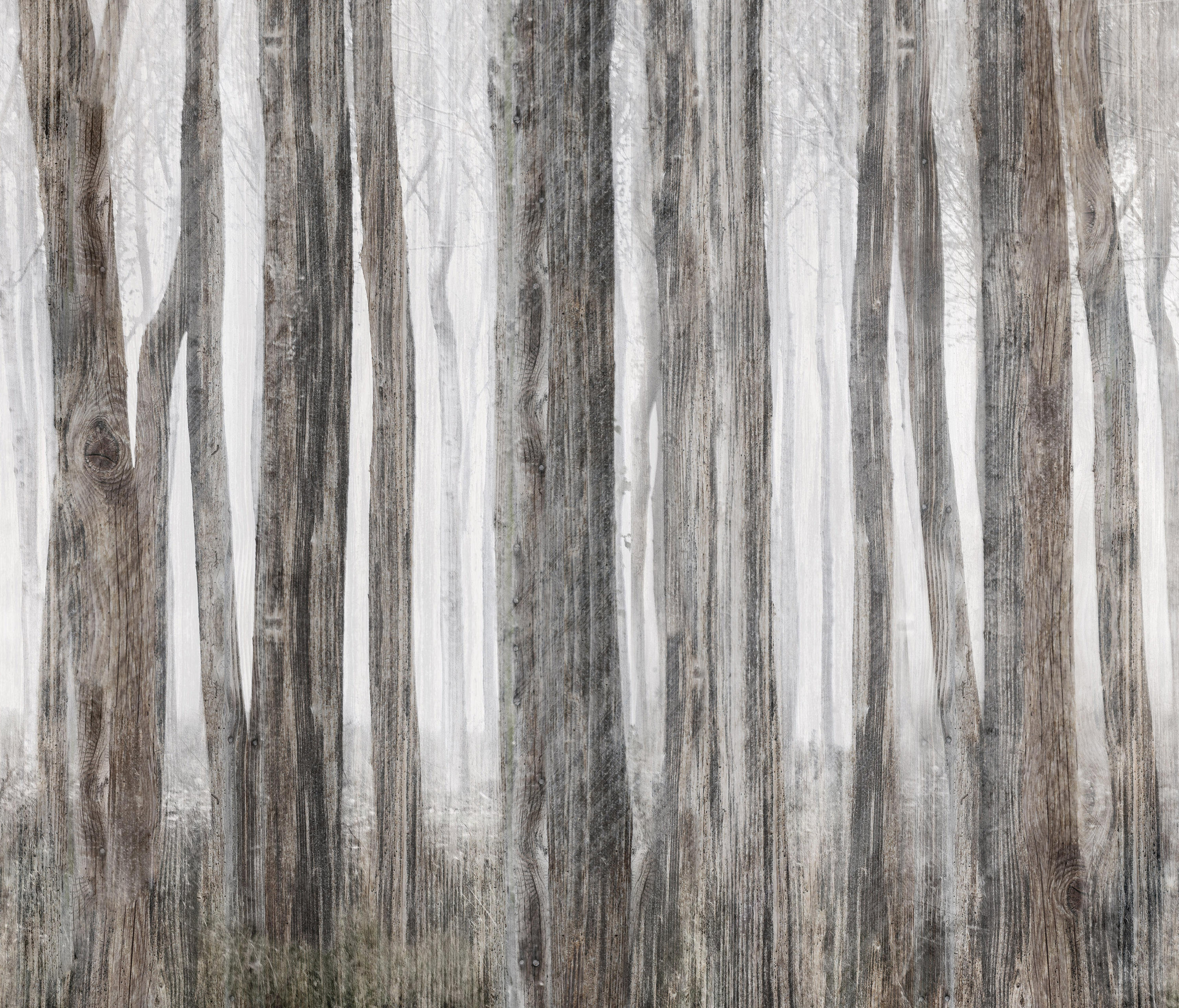 Little Red Inkiostro Bianco - HD Wallpaper 