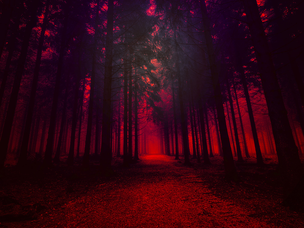 Artistic Red Forest Wallpaper - HD Wallpaper 