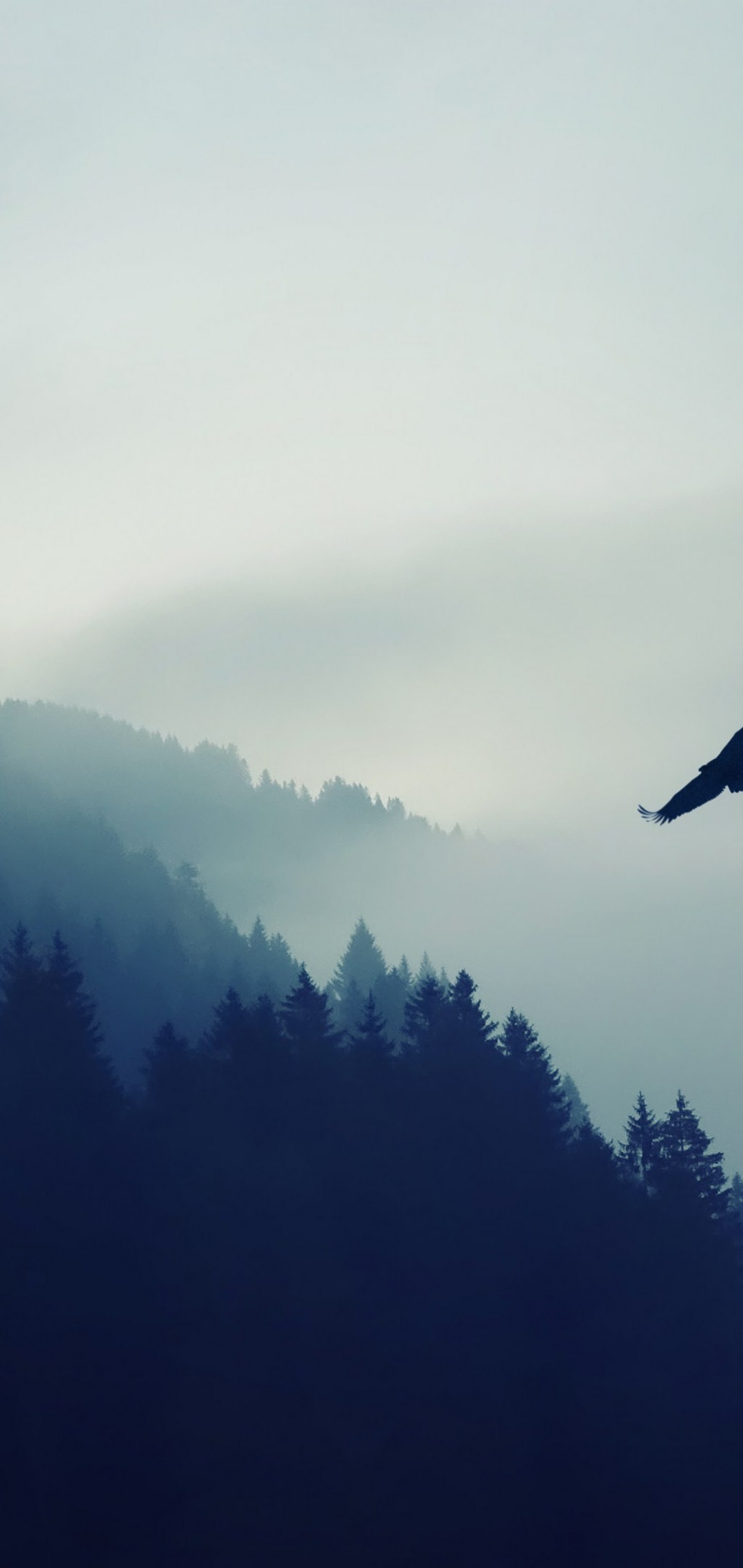 Mountain, Forest, Eagle, 4k, 3840x2160, - Eagle Wallpaper 4k Iphone - HD Wallpaper 