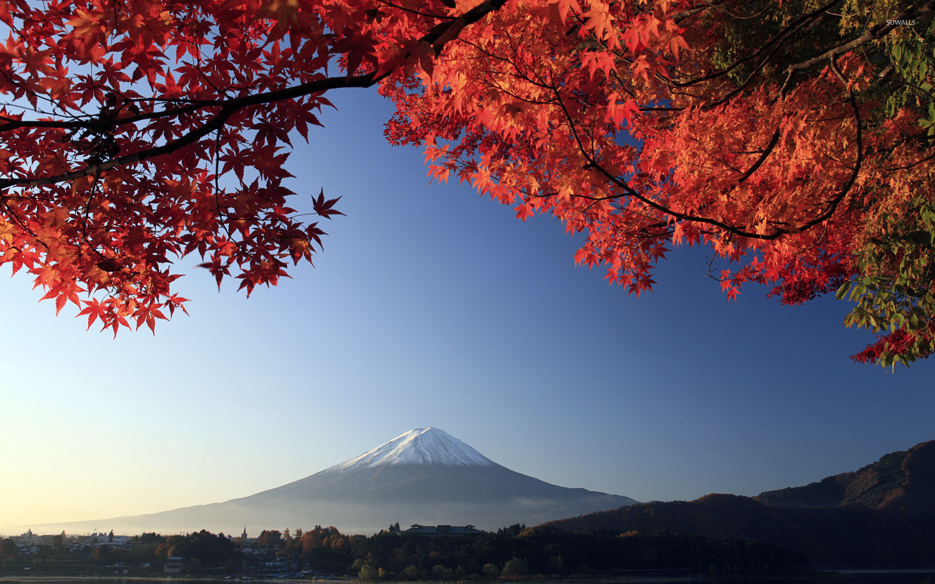 Autumn Wallpaper Japan - HD Wallpaper 