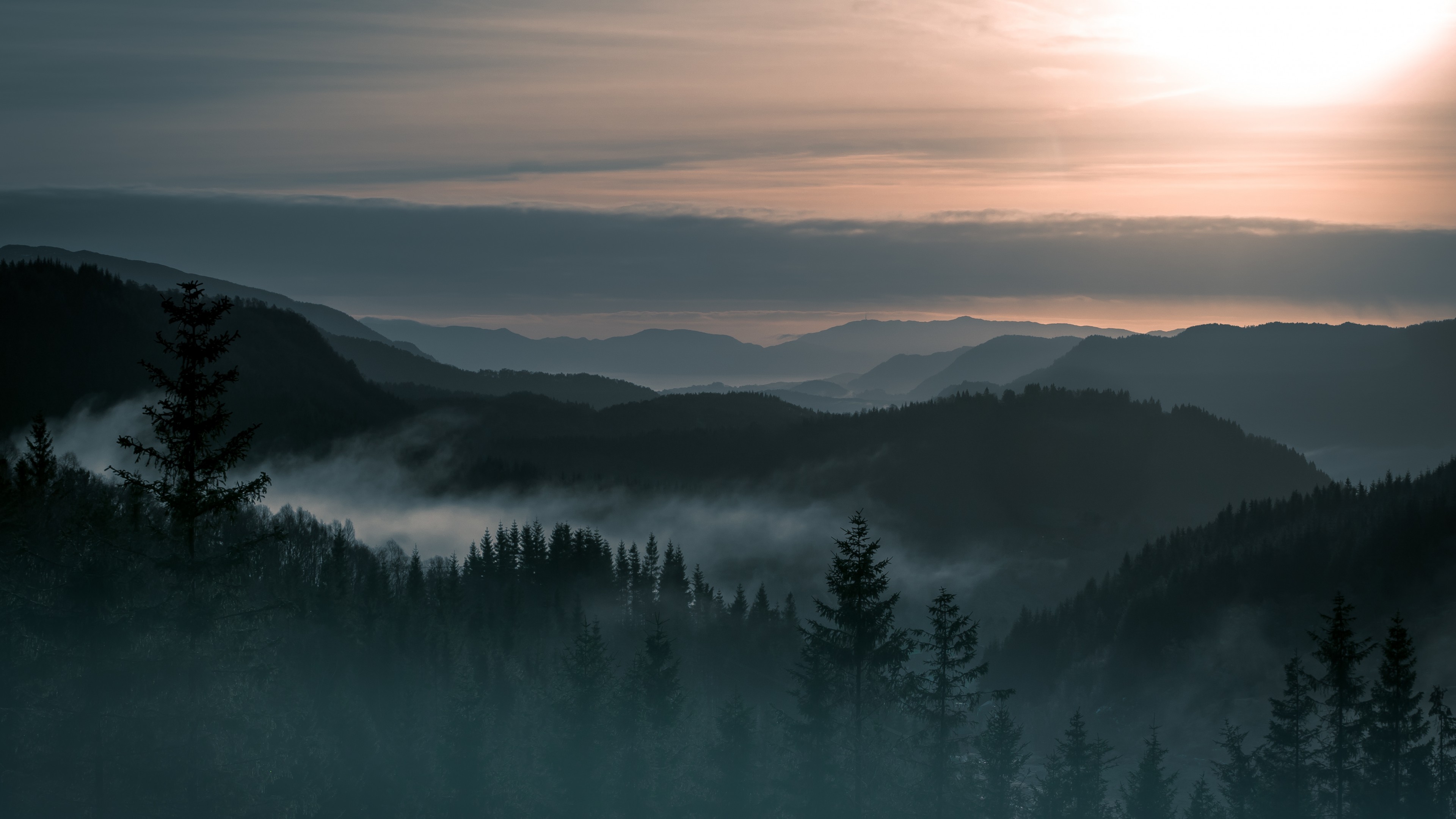 Wallpaper - HD Wallpaper 