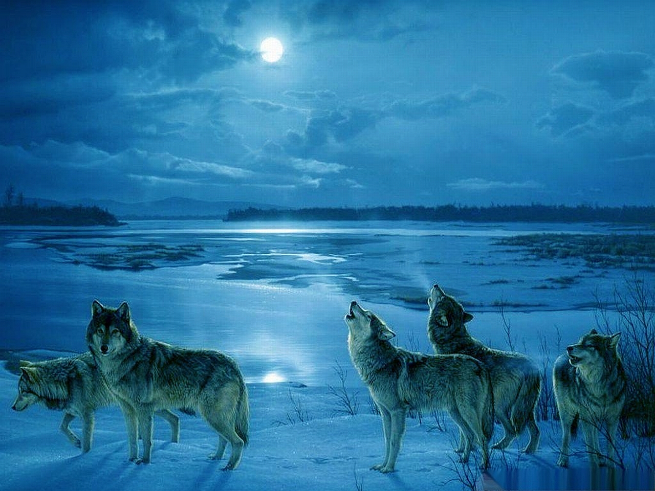 Wolf Wallpaper - Winter Wolves Desktop Backgrounds - HD Wallpaper 