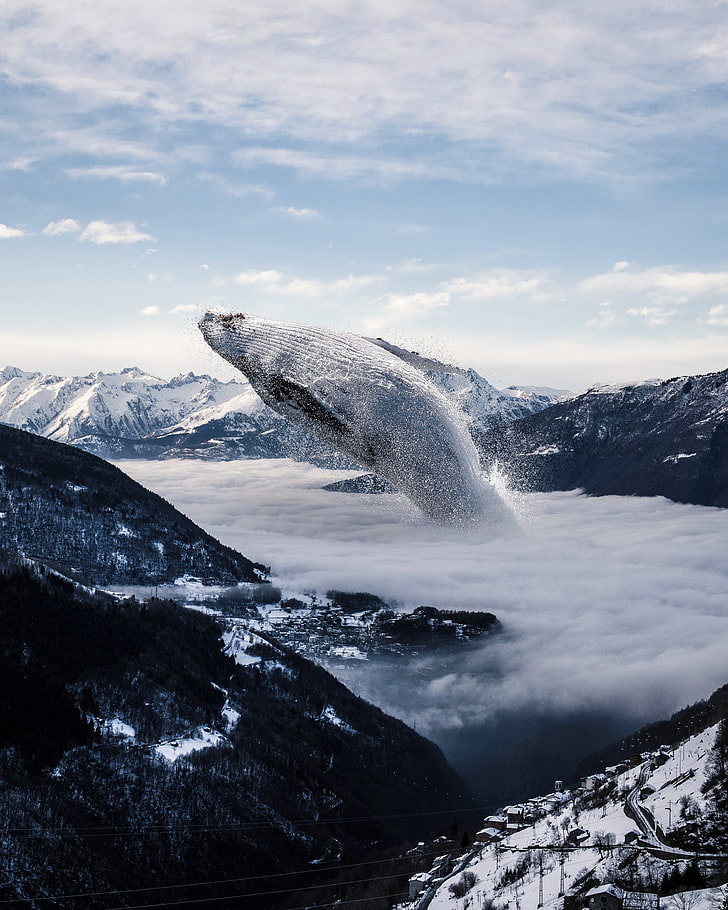4k, Mountains, Whale, Winter, Fog, Hd Wallpaper - Whale In The Mountains - HD Wallpaper 