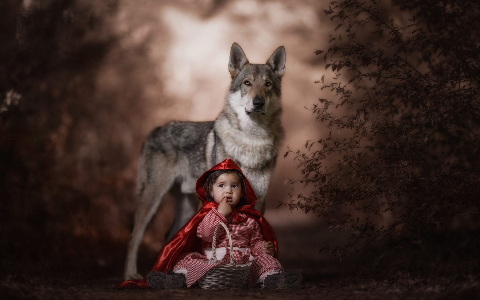 Wallpaper Red Hood, Child, Wolf - Red Hood Girl Wolf Forest Background - HD Wallpaper 