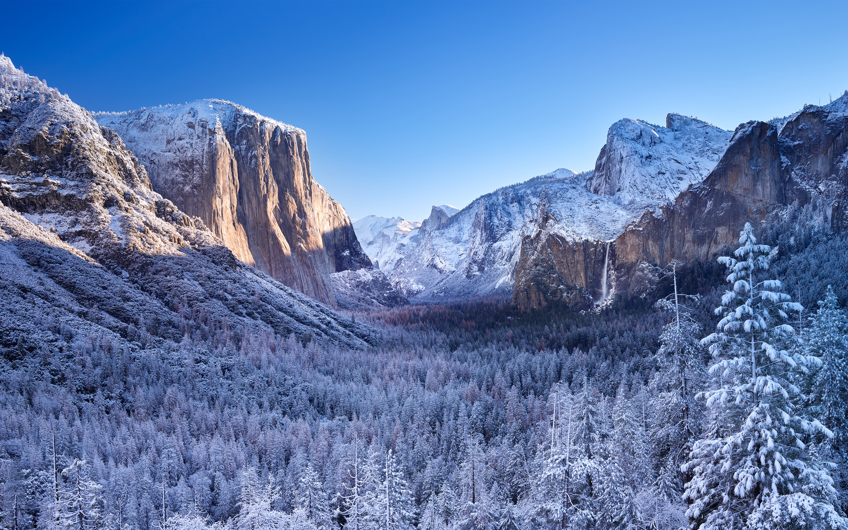 Yosemite National Park 4k - HD Wallpaper 
