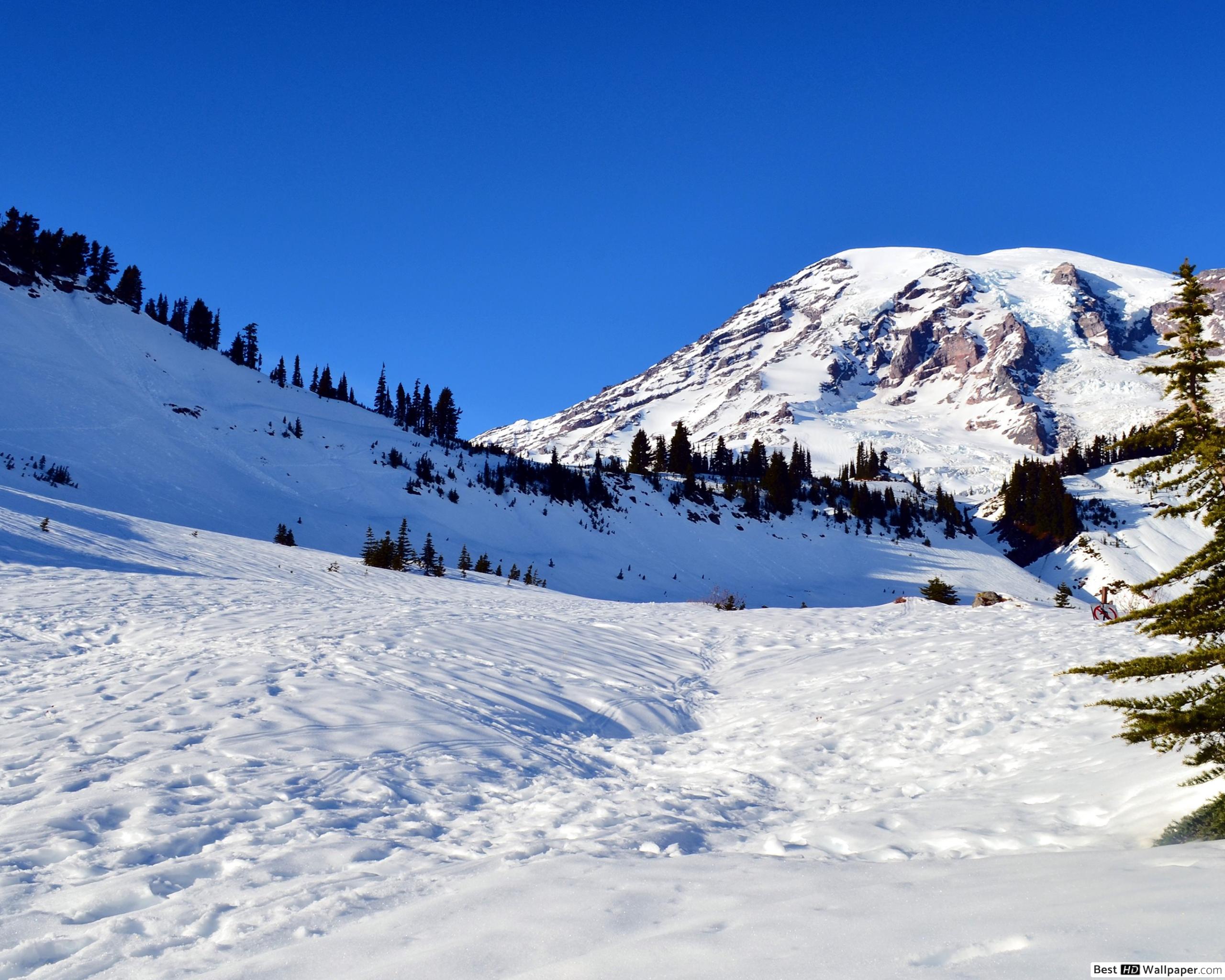 Mount Rainier National Park, Nisqually Glacier - HD Wallpaper 