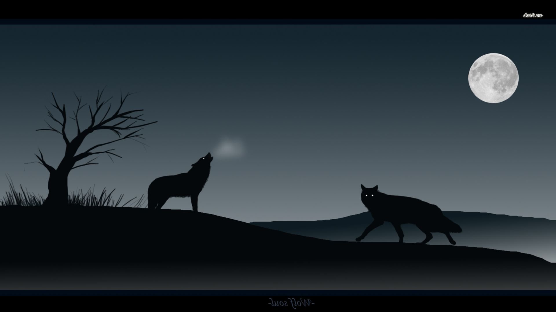 Howling Wolf 439842 - Moon - HD Wallpaper 
