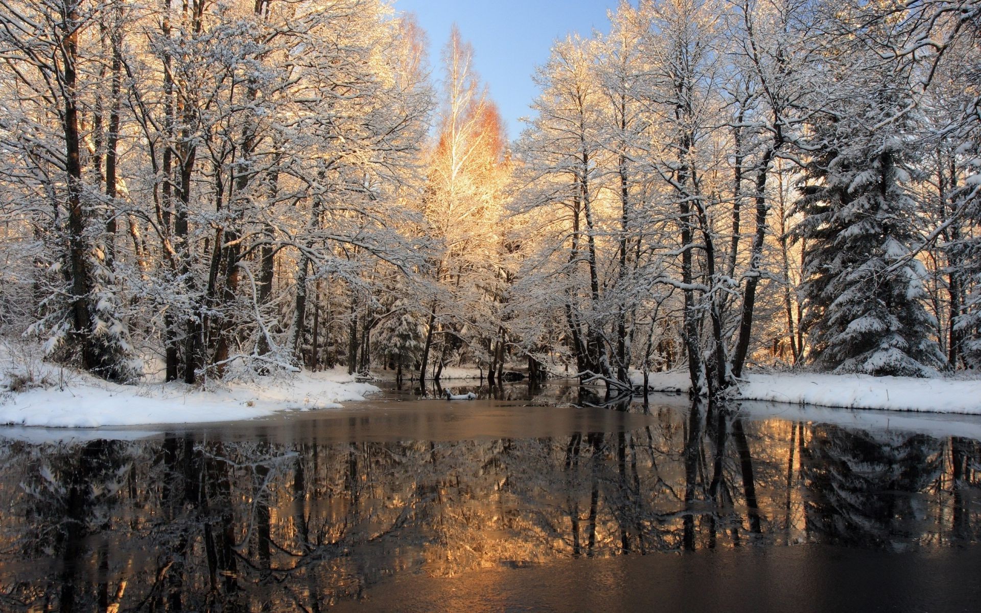 Rivers Ponds And Streams Wood Winter Snow Tree Fall - Nature Oil Paintings Landscapes - HD Wallpaper 