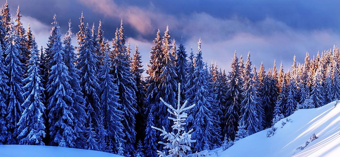 Winter Wallpapers 無料 風景 冬 画像 Android 1080x500 Wallpaper Teahub Io