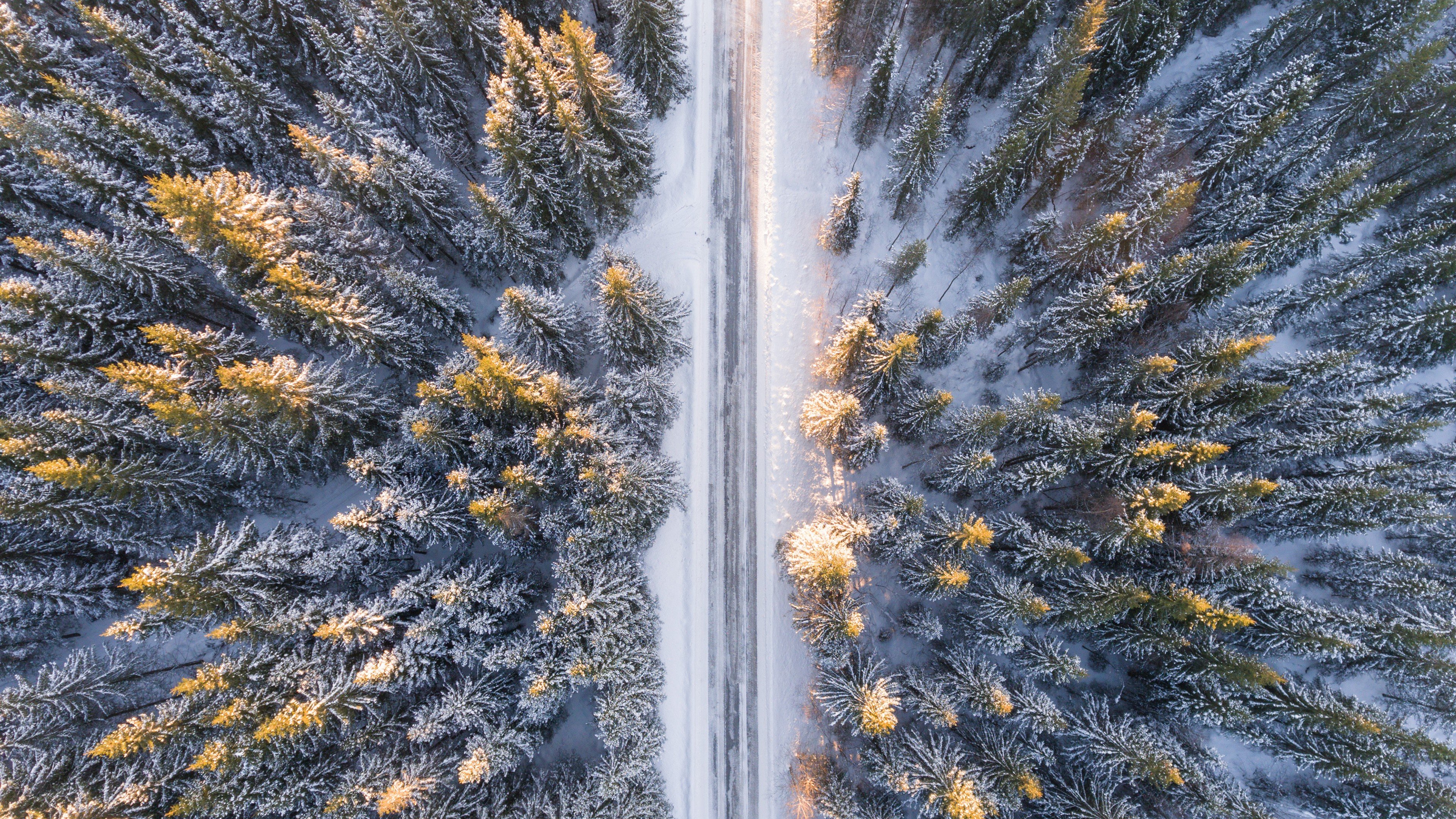 Winter Road - HD Wallpaper 