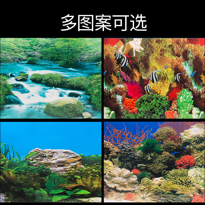 Marine Biology - HD Wallpaper 