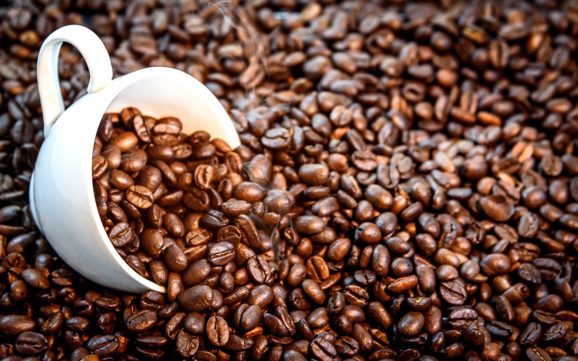 Coffee Beans Hd Wallpapers - Coffee Bean Wallpaper Hd - HD Wallpaper 