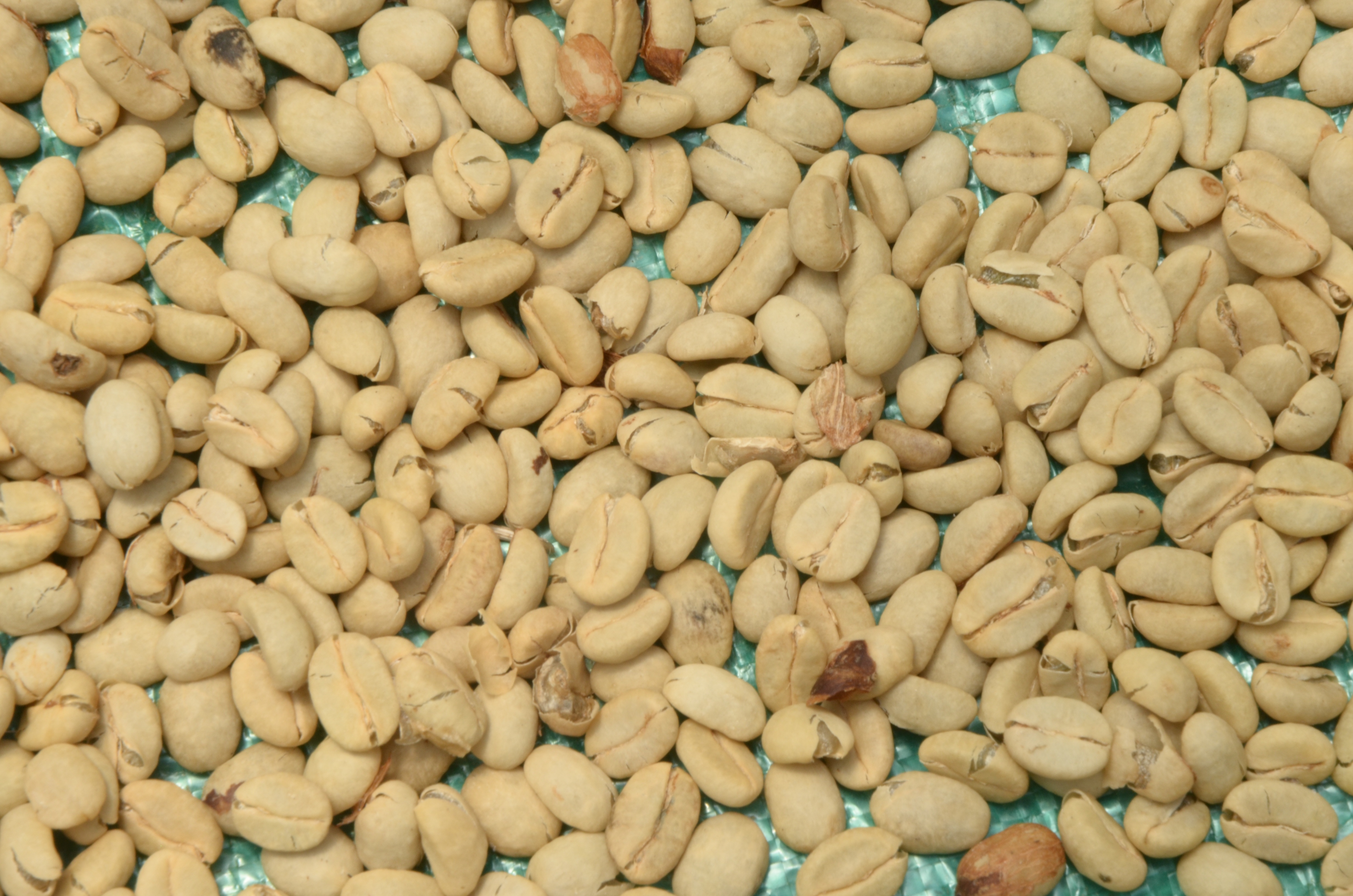 Wallpaper With White Coffee Beans - HD Wallpaper 