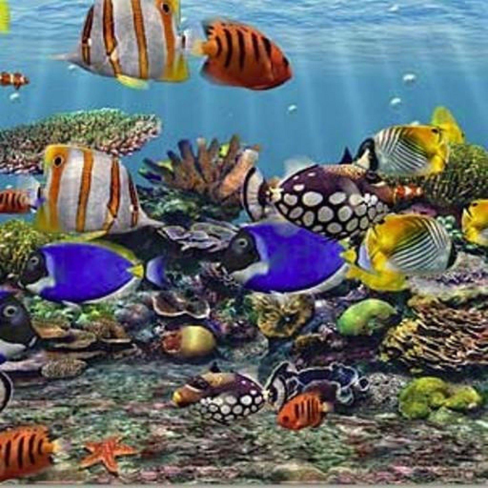 3d Wallpaper Fish Aquarium - Stone With Fish - HD Wallpaper 