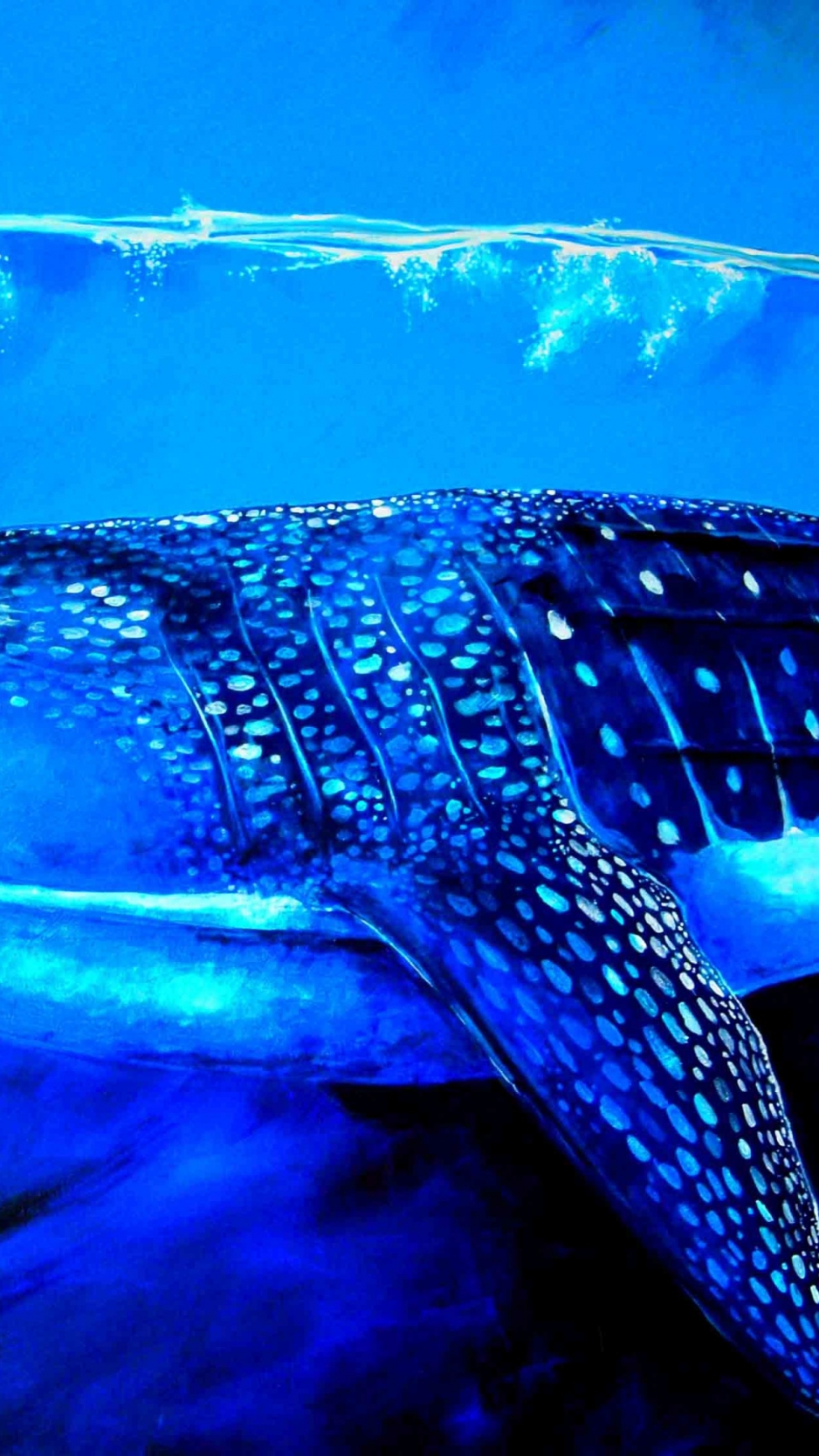 Whale Shark Wallpaper Hd Iphone - HD Wallpaper 
