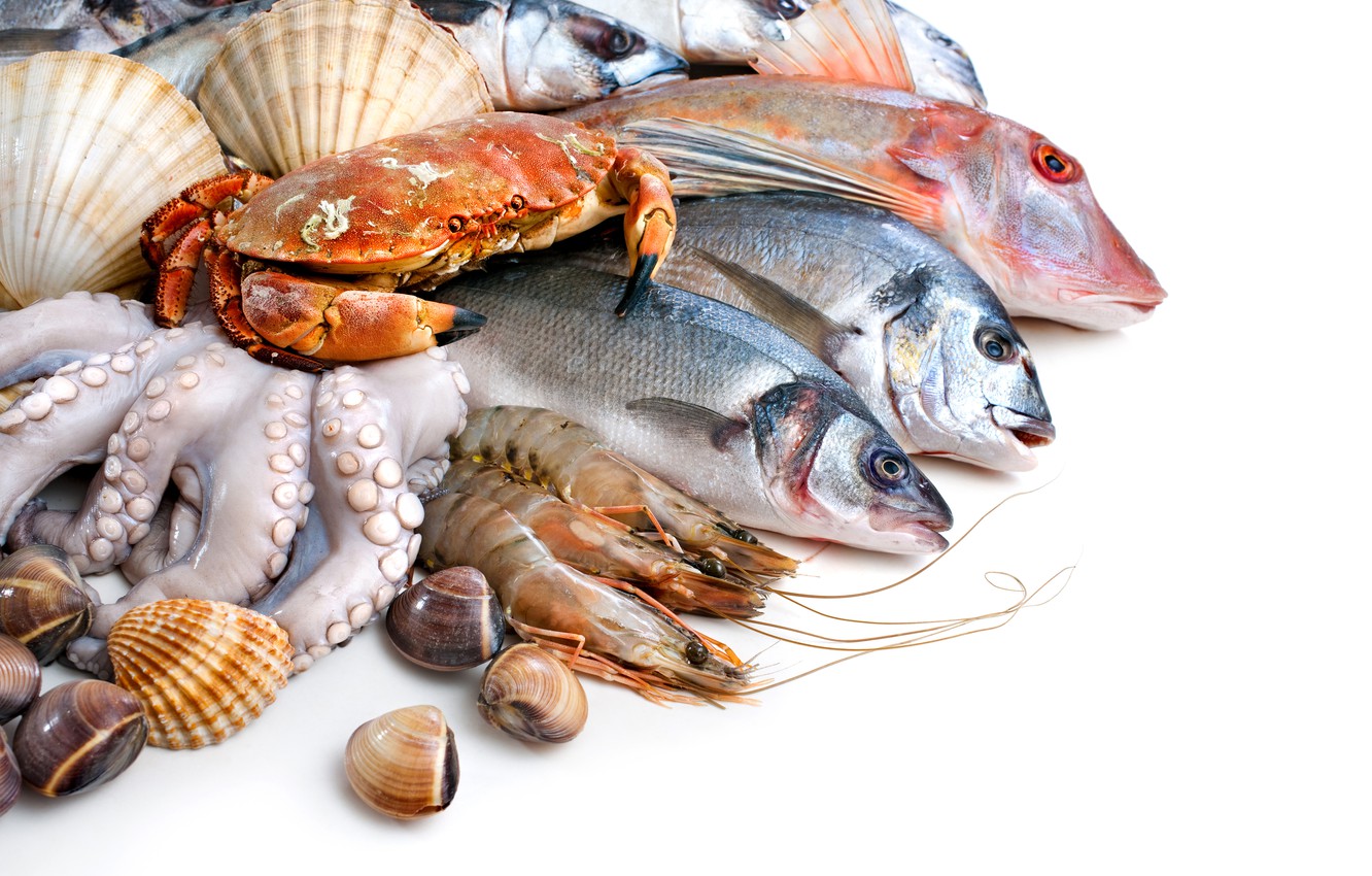 Photo Wallpaper Fish, White Background, Shell, Crabs, - Frozen Sea Food - HD Wallpaper 