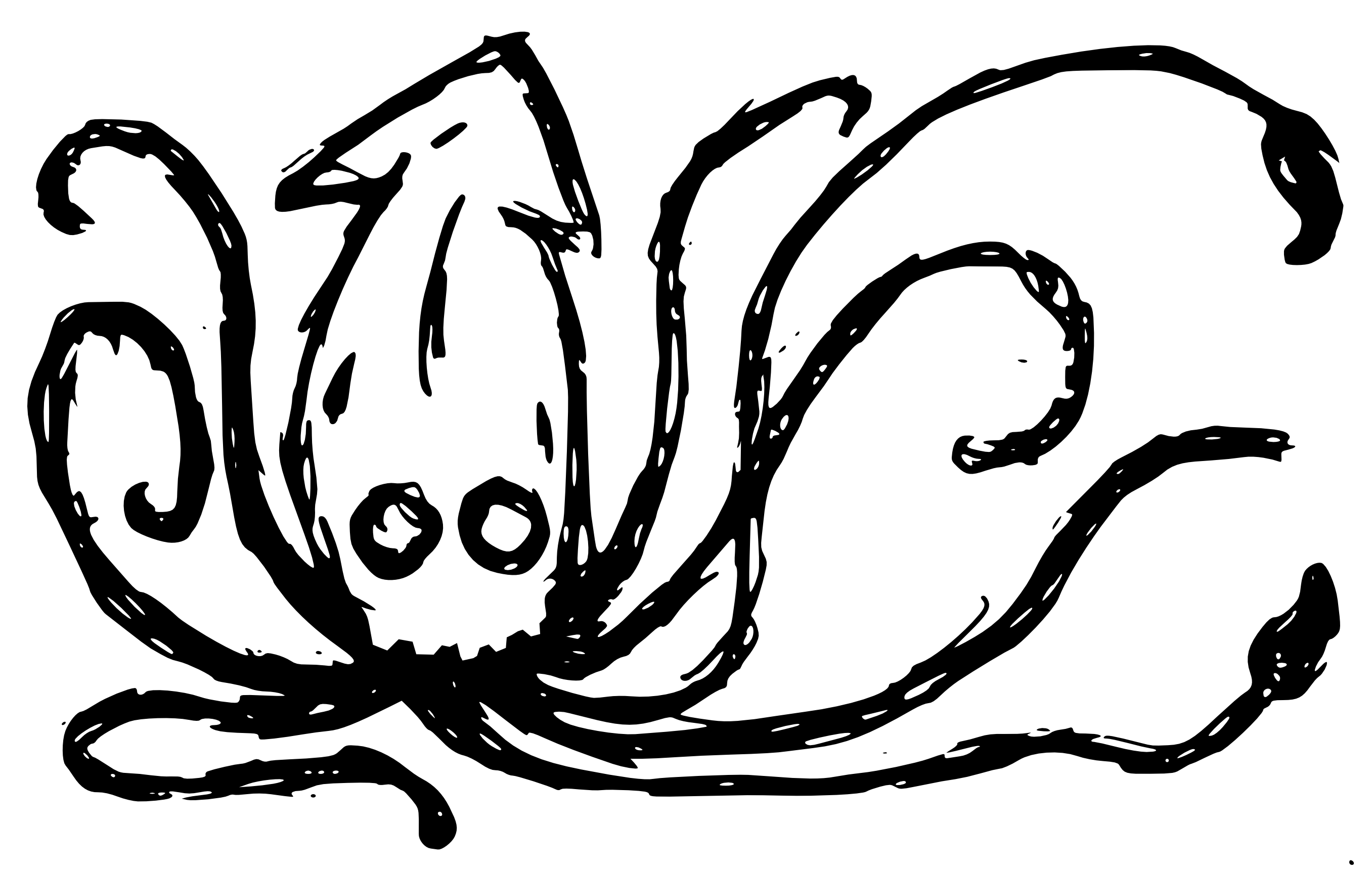 Squid - HD Wallpaper 