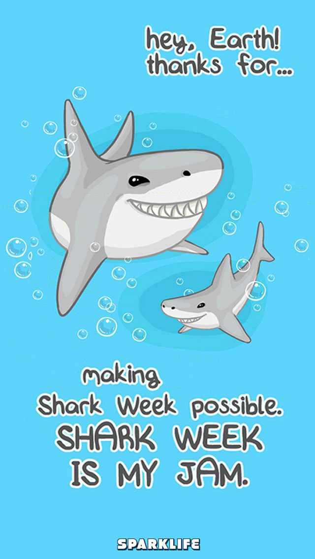 Great White Shark - HD Wallpaper 