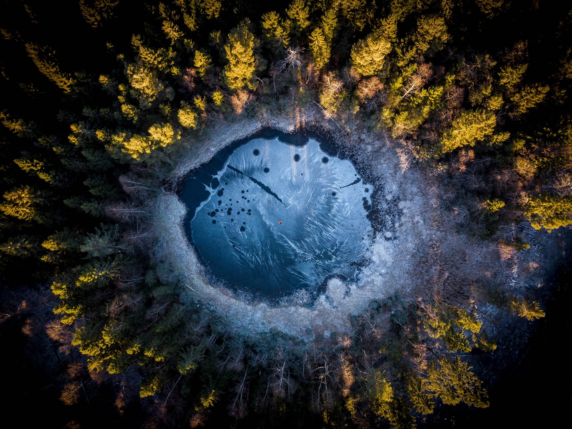 Wallpaper Norway, Oslo County, Trees, Puddle, Top View - Sony World Photography Awards - HD Wallpaper 