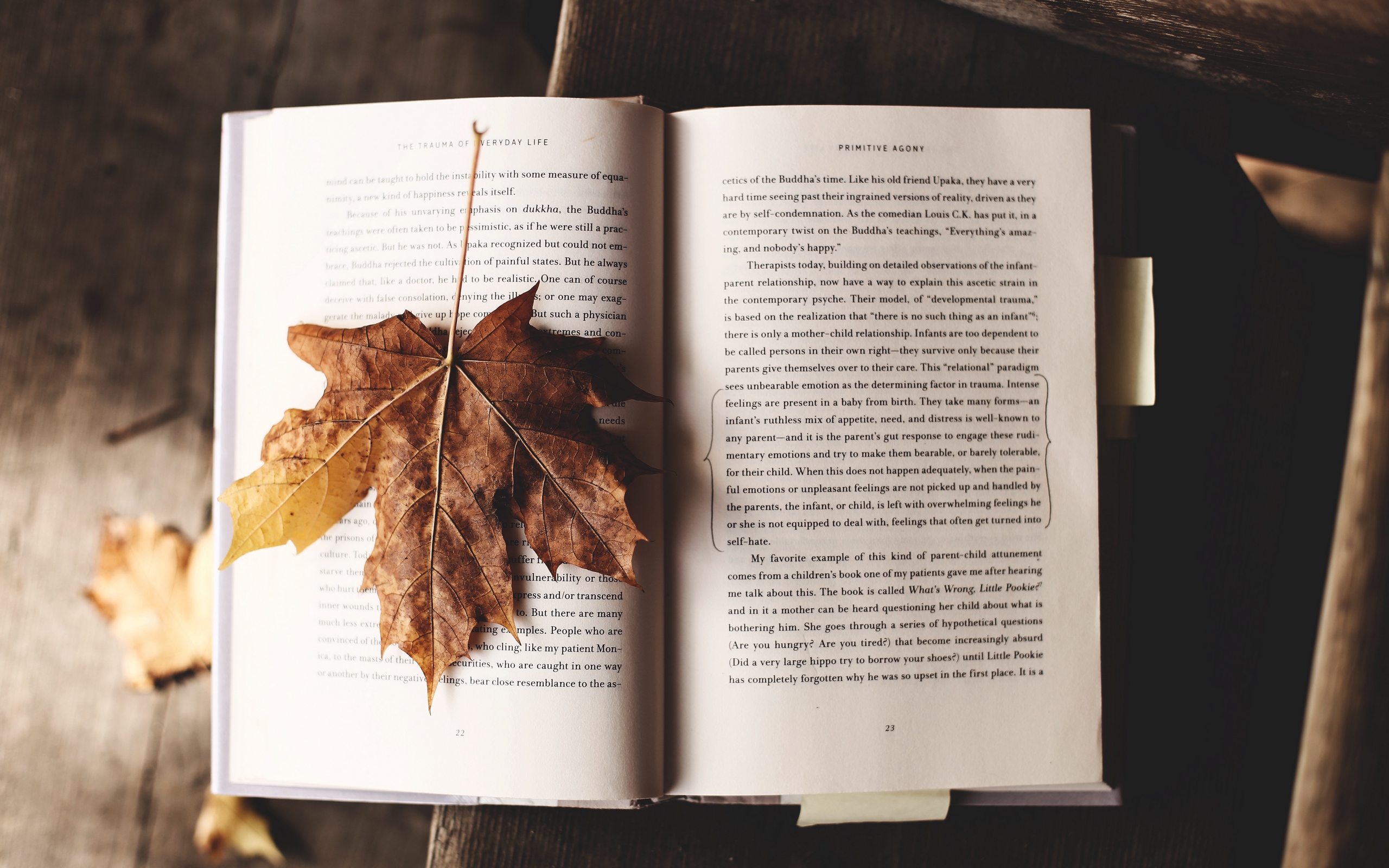 Wallpaper Book, Maple, Leaf, Autumn - Autumn Vibe Desktop Background - HD Wallpaper 
