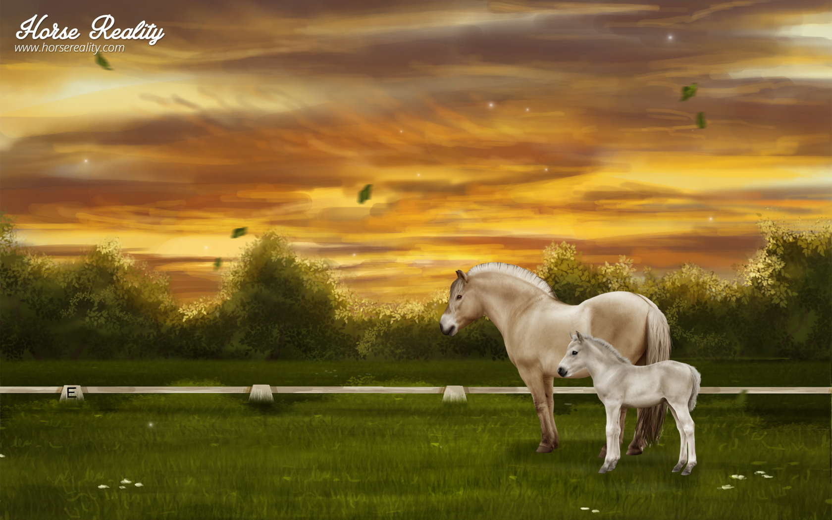 View Media - Horsereality - HD Wallpaper 