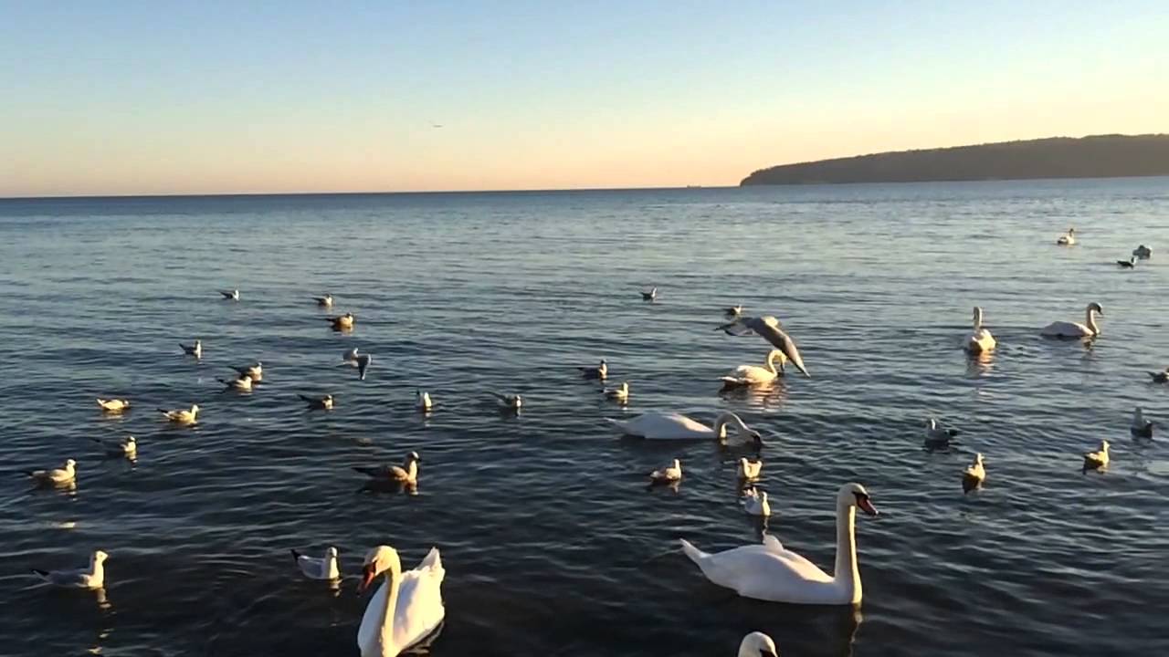 Varna Sea - HD Wallpaper 