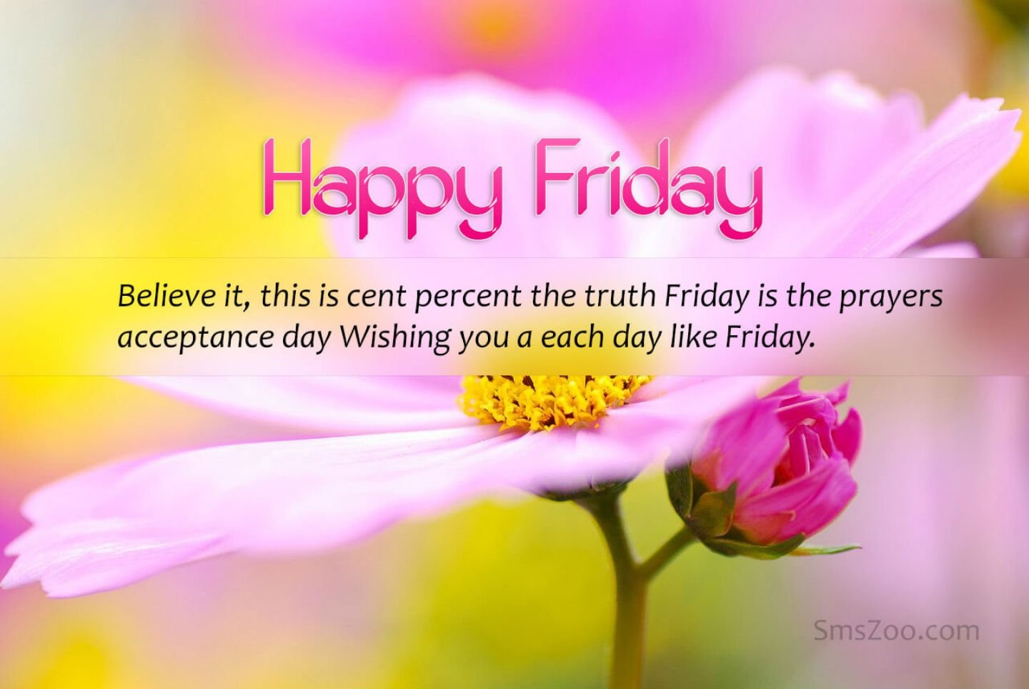 Jumma Mubarak Hd Wallpaper - Happy Friday Jumma Mubarak - HD Wallpaper 