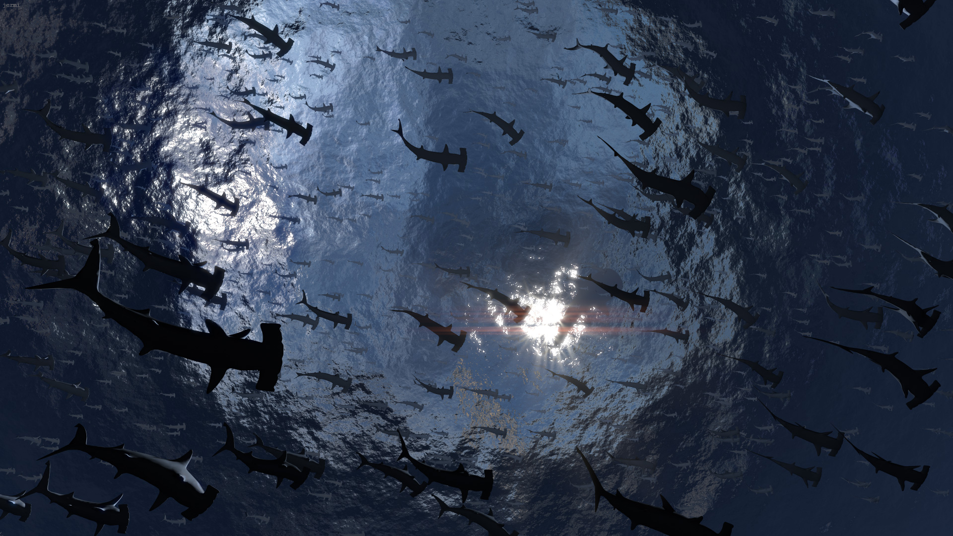 Sharks Background Wallpaper - Hammerhead Shark Wallpaper Hd - HD Wallpaper 