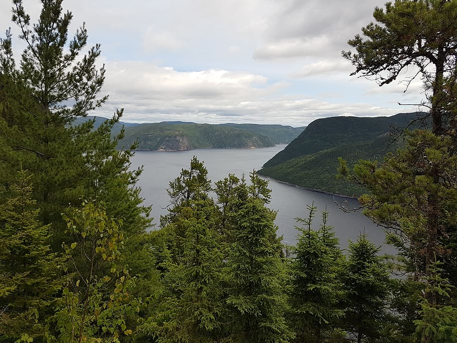 Fjord, Vista, Saguenay, Quebec, Tree, Plant, Water, - Loch - HD Wallpaper 