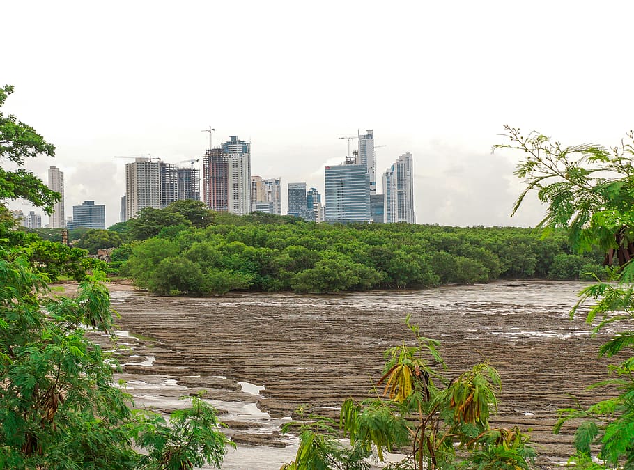 Panama, Panamá, Panamá Viejo, Urban, Skyline, Travel, - HD Wallpaper 