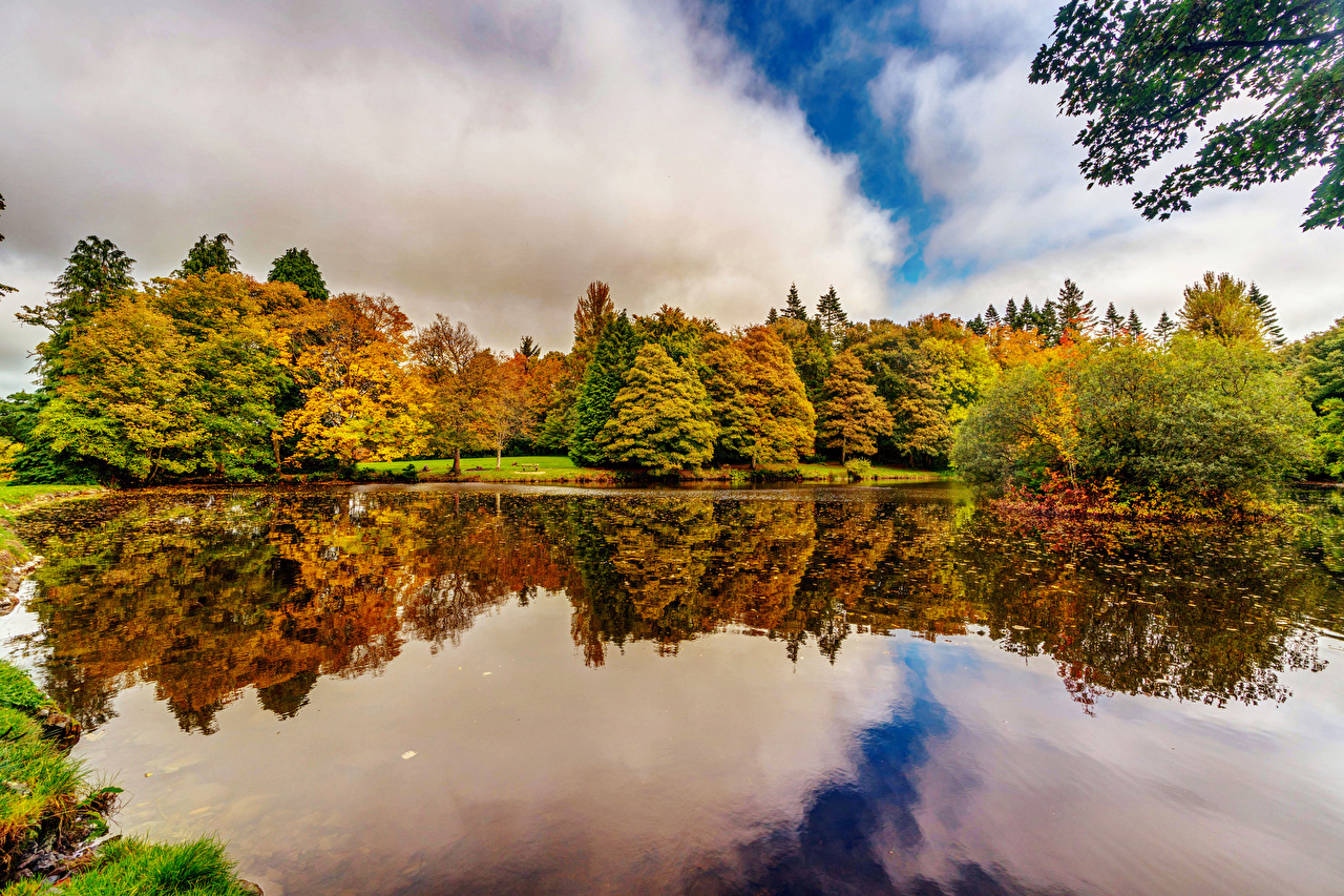 Botanic Gardens Bublin Autumn - HD Wallpaper 