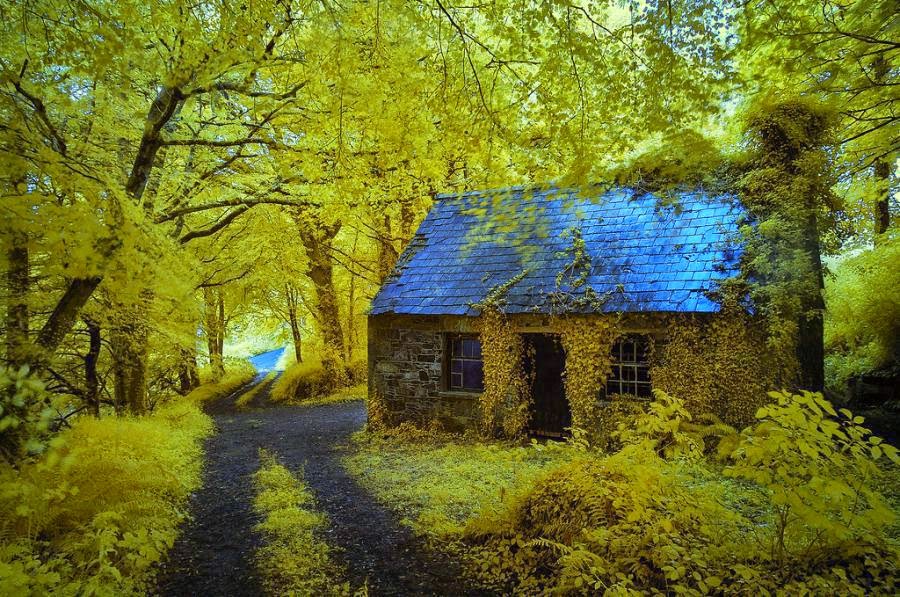 Irish Desktop Wallpaper Free - Irish Cottage In Forest - HD Wallpaper 