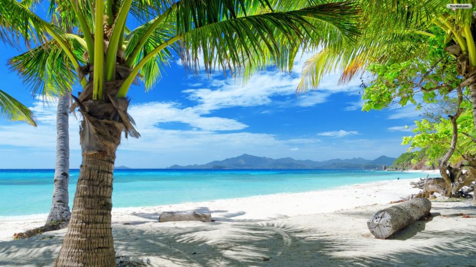 Paradise Beach, Sea, Water, Blue Sky, Tree, Sunshine - Beach Background Hd - HD Wallpaper 