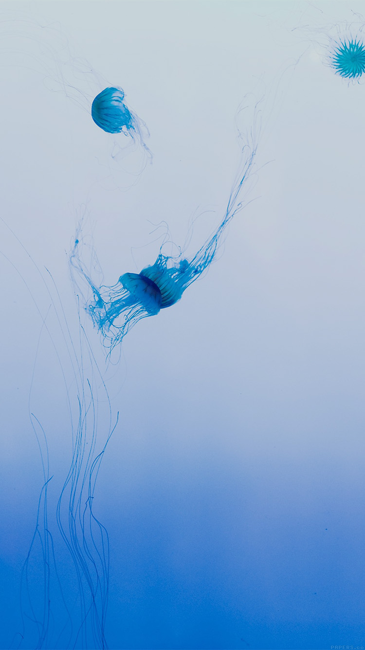 Dont Be Sad Allah Knows - HD Wallpaper 