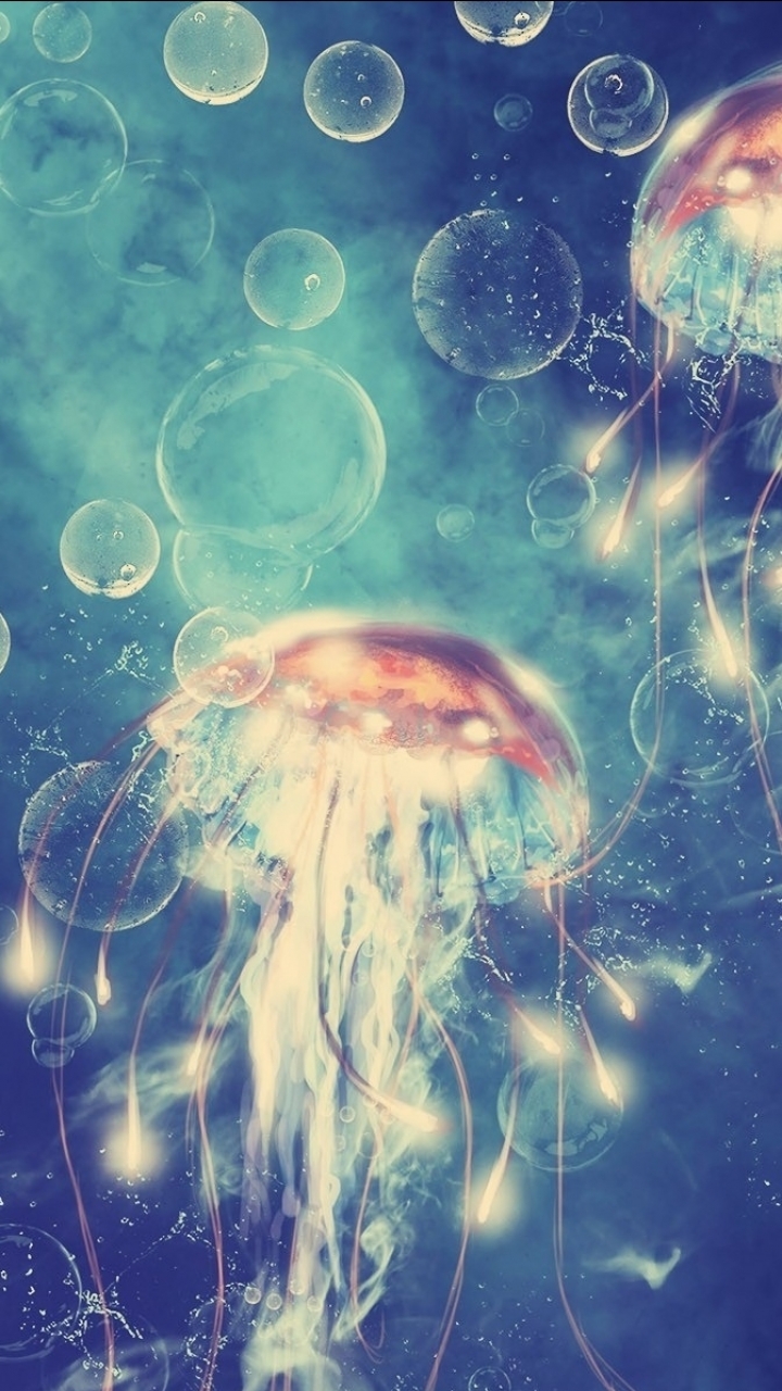 Cool Jellyfish Wallpapers Mobile - HD Wallpaper 